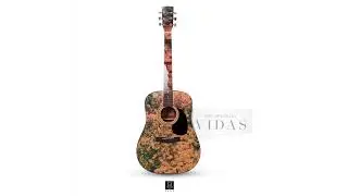 Raul Tapia Gyllen - Vidas ( Full Album )
