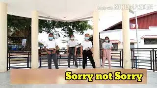 Sorry not Sorry // Dance Cover song by: Demi Lovato