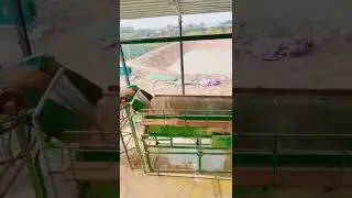 Gravel Sand Washer Machine Aggregate Stone Washing Plant for Sale Price