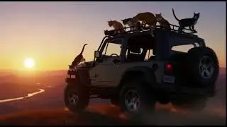 A Beautiful Road Trip with Cute Cats 🐱🚙 | 3D Animated Story