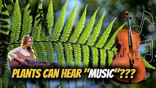 &ldquo;Plants Grow Faster with Music? The Truth Revealed!&rdquo;
