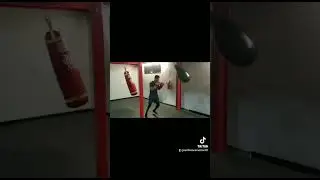#boxeo #boxeomundial #boxeoprofesional #boxingnews #boxingtraining