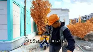 BENELUX от BAZIS-A &ndash; премиальная коллекция клубных домов. Рядом с Парком Первого Президента