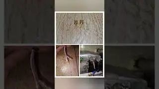 Samsung: error tE / ошибка tE