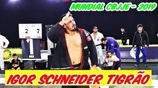 Jiu Jitsu - Final - Igor Schneider Tigrão vs Alexandre Vitor - Mundial CBJJE - 2019