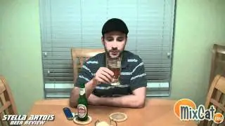 Stella Artois Pale Lager beer review