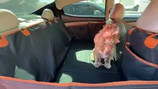 Best Dog Car Seat Extender for Small or Mid-Size Cars on Amazon - FURTIME Back Seat Cover For Pets