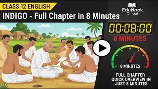 Class 12 English Chapter 5 Indigo | Summary & Explanation | NCERT