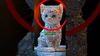 ​💰 Why Is This Worth $100k?
