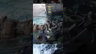 Ships &ldquo;Well-Deck&rdquo; Floods to Launch and Recover Amphibious Craft