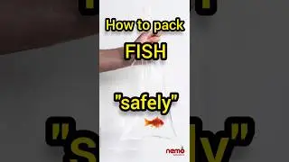 how to pack fishes for courier safely??