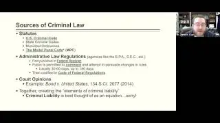 Criminal Law II:  Substantive Criminal Law - Constitutional Restraints on the Law