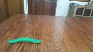 Willy The Worm