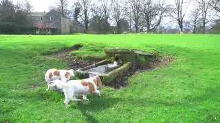 Jervaulx Abbey in North Yorkshire - 4K UHD