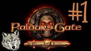 Baldur's Gate: Enhanced Edition #1 - Początek przygody (Let's Play PL Klasyki)