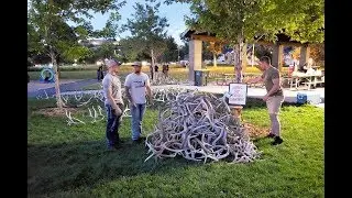 GIANT ANTLERS EVERYWHERE! Shed and Tell 2019