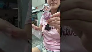 Unboxing my FIRST SPACE MOLLY & I got the one I wanted! 💕🎀💖💓💗 #popmart #unboxing #spacemolly