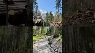 Riserva naturale Somadida