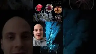 The Core #universe #astronaut #scienceproject #shorts