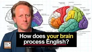 Neuroscience & Learning English 🧠 11 Surprising Facts [1002]