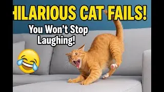 Funniest Cat Fails Ever! 😂 Try Not to Laugh Challenge!✅#CatFails #TryNotToLaugh 😂😹#Funny #fails