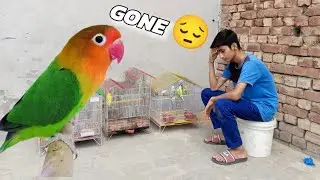 Oggy ka Dost Chala gya 😭Oggy Akela ho gya😞|Pets Ka Ghar