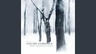 New Year&rsquo;s Soft Echo