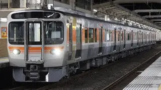 【315系静岡地区試運転】315系3000番台C102編成 東海道線/身延線