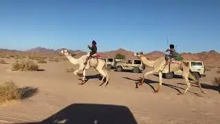 سحلان  لظاهر سلمان  (وادي حقيل )