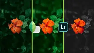 Flower 🌺 Editing Tutorial In Snapseed And Lightroom Mobile | #shorts #lightroom