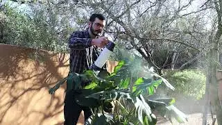 Get Your Plants The Mist They Need! // ExtremeMIST High-Performance Plant Mister
