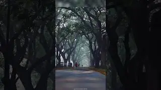 Glimpses of Chittaranjan #shorts #shortsvideo #travel #cinematic