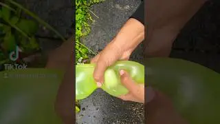 asmr cracking sounds #walking #splashing #asmr #balloon #popping #water #cracking #asmrsounds #boom