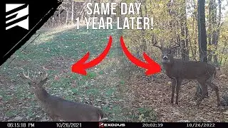 How To Use Annual Data To Kill Mature Bucks! Long Term Trail Camera Sets Are Key!