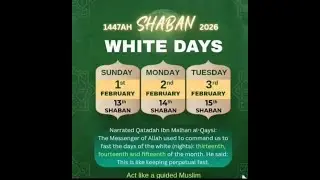 STOP BEGGING : Recite This Verse 7 Times After Fajr for Generational Wealth