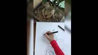 Lukisan Adenium Teknik Contengan