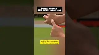 Объяснение вариаций LEG SPIN от Шейна Уорна | Leg Break, Top Spinner и Googly 🏏🔥##cricket #legspin