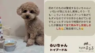 そららのるるる♪　手作りフリーズドライお客様の声