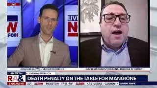 NY Criminal Defense Attorney David Schwartz @livenowfox Talking About  Murder Suspect Luigi Mangione