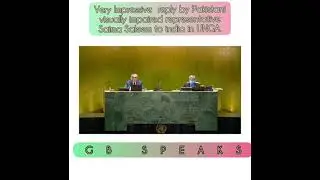Very Impressivereply by Pakistani visually impaired representative Saima Saleem to india in#UNGA