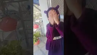 Chinese monkey singing trend #trending #youtubeshorts #viral #funny #shorts#comedy