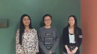 MSE Video 2016