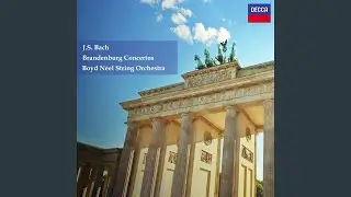 J.S. Bach: Brandenburg Concerto No. 4 in G Major, BWV 1049: 2. Andante