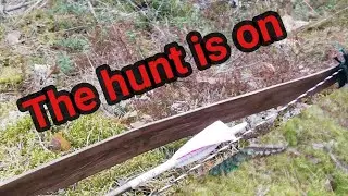The hunt is on! Hunting 4 bow staves