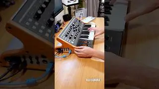 Daft Punk - Aerodynamic (Moog Subsequent 25) #daftpunk #moog #synth #musicproducer #dancemusic