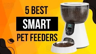 5 Best Smart Pet Feeders to Revolutionize Your Pet Care