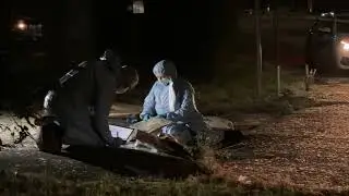 Met probe Teenager shot in Erith