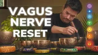 Total Calm Vagus Nerve Reset | 3 Hours Tibetan Singing Bowls & Deep Healing Tones