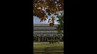 Ką apie pensijų kaupimą mano Seimo nariai?