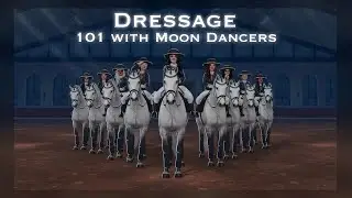 Dressage 101 II Moon Dancers II Starstable club
